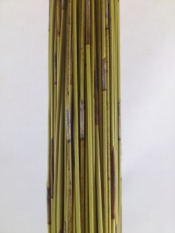 Bundle of reed 400 gr. 80 cm natural